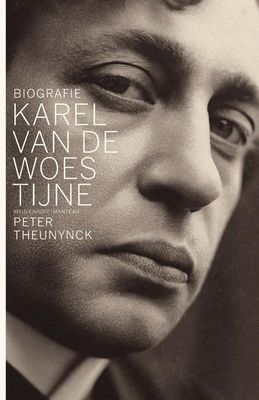 Karel Van de Woestijne - Peter Theunynck - ebook