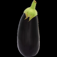 Jumbo Aubergine