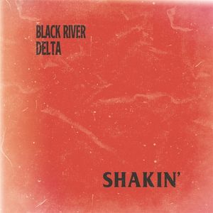 Shakin' - LP (0760137591412)