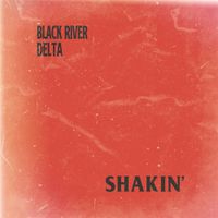 Shakin' - LP (0760137591412) - thumbnail