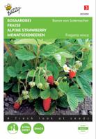 Aardbeien Baron Van Solemacher - Buzzy