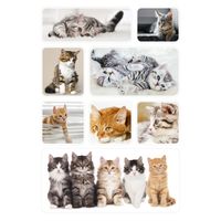 72x Poezen/katten/kittens dieren stickers    - - thumbnail
