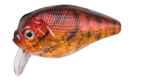 Doiyo Ishi 65 FL Red Perch CF