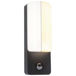 Paulmann Bonnie PIR Insect 94853 LED-buitenlamp (wand) LED 8.5 W Antraciet