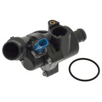 Thermostaathuis 100313