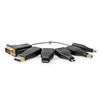 HDMI-Adapter | DisplayPort Male / DVI-D 24+1-Pins Male / HDMI Micro-Connector / HDMI Mini-Connector / Mini-DisplayPort Male / USB-C Male | HDMI Female | Verguld | Recht | PVC | Zwart | 6 Stuks