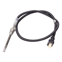 Uitlaatgastemperatuursensor 100828