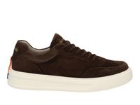 Barracuda Phoenix BU3510 V2665 pepe Bruin maat 41