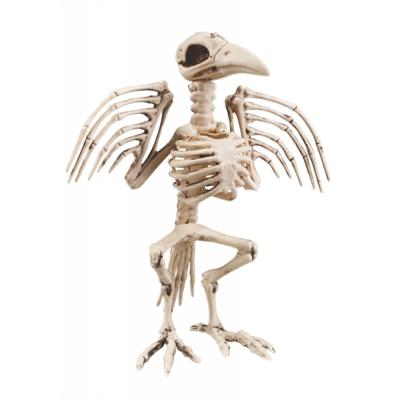 Hangend decoratie skelet - kraai - kunststof - 32 cm - Halloween decoratie dode dieren