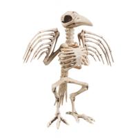 Hangend decoratie skelet - kraai - kunststof - 32 cm - Halloween decoratie dode dieren