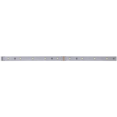 Paulmann MaxLED Stripe Daylight 79857 LED-strip 1 m Daglichtwit