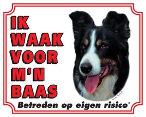 Border Collie Waakbord - Ik waak voor mijn baas