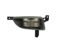 Mistlamp rechts 3790996