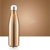 Thermische beker vacuüm kolf warmte waterfles draagbare roestvrijstalen sport ketel capaciteit: 500ml (Champagne)