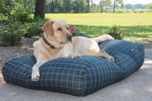 Dog's Companion® Hondenbed black watch large