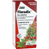 Floradix IJzer-tabletten - thumbnail