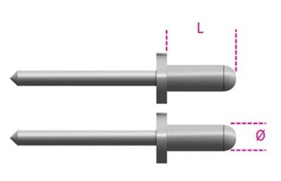 Beta 1741rv aluminium blindklinktang nagels 2,9k (p/100)