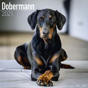 Kalender 2025 Dobermann