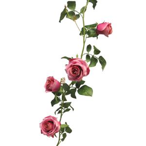 Kunstbloemen slinger rozen Emily - 145 cm - roze - guirlande - decoratie - bruiloft versiering