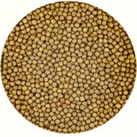 Vivani Grower 3mm Visvoer - Gezonde Groei Vijvervissen - Premium 5L Emmer