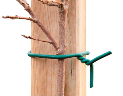 Rubberband groen met ijzeren kern dia. 6mmx5m - Nature