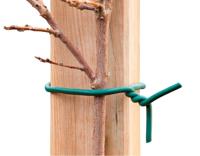 Rubberband groen met ijzeren kern dia. 6mmx5m - Nature