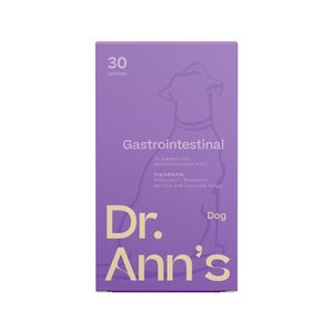 Dr. Ann's Gastrointestinal Support - 30 capsules