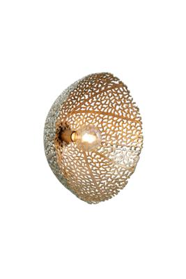 Sinula