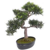 Kunstplant - Bonsai boompje - 40 cm