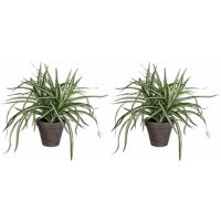 Dracaena kunstplant groen in grijze pot H34 cm x D40 cm