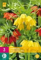 X 3 Fritillaria imperialis mix - thumbnail