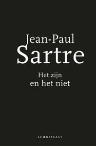Het zijn en het niet (Paperback)