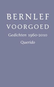 Voorgoed - Bernlef - ebook