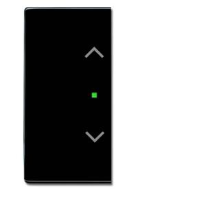 Busch-Jaeger 2CKA006220A0053 Afdekking 2-voudig free@home Zwart-grijs, Antraciet 1 stuk(s)