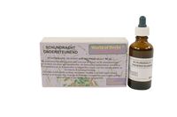 World of herbs fytotherapie schijndracht 50 ml