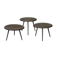 RENEW Bijzettafel 'Turi' Teakhout, Set van 3 stuks, kleur Weather Grey