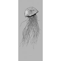 Fotobehang - Jellyfish 100x250cm - Vliesbehang