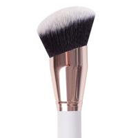 Makeup Brush 201
