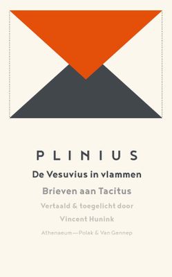 De Vesuvius in vlammen - Plinius - ebook