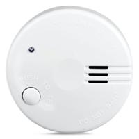 Alecto SA-100 - Mini rookmelder met 5 jaar batterij
