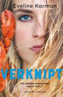 Verknipt (Paperback)