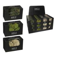 Decoratieve plant Mica Decorations 50 g Mos