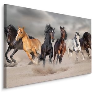 Schilderij - Kudde wilde paarden, premium print, wanddecoratie