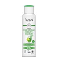 Shampoo freshness & balance