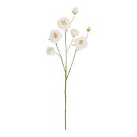 Kunst Rozentak XL Deluxe 95cm Creme