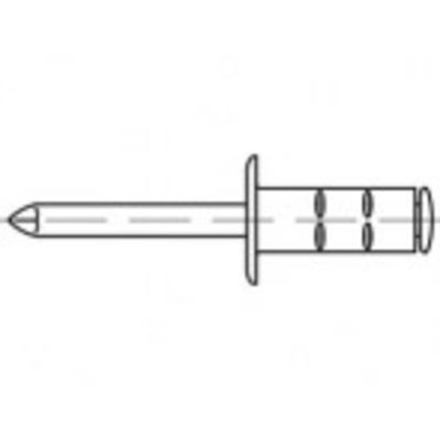 TOOLCRAFT TO-5380557 Popnagel 4.8 mm RVS 500 stuk(s)