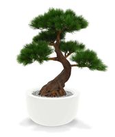 Pinus Bonsai x5 deluxe kunstplant op voet 80cm - thumbnail