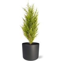 Conifeer kunstboeket 56 cm (geel-groen)