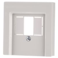 296044  - Central cover plate TAE 296044