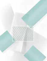 Cleanlight Reserve Filter Cleanlight Air Purifier